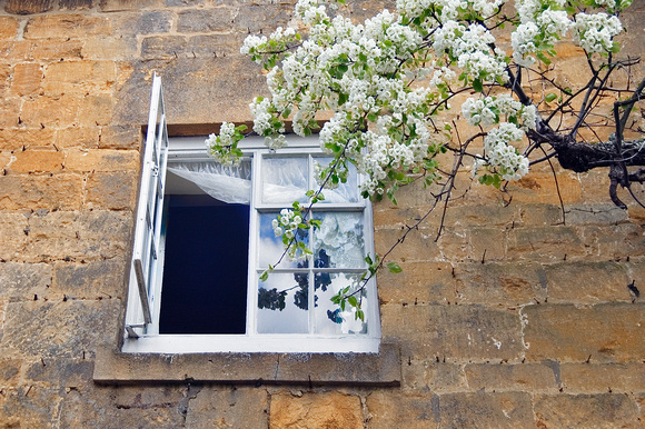 Sally Reis Vogt - “Window in Spring”