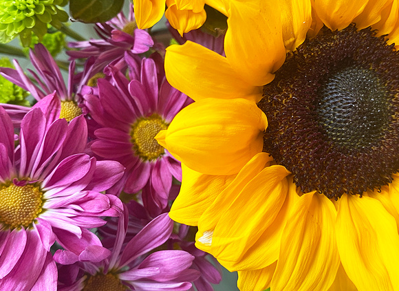 Betsy Domanski - “Helianthus”