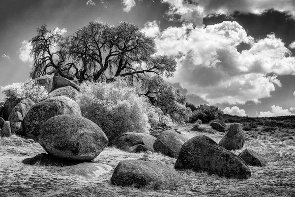 Anza Borrego IR