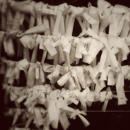 White Prayers